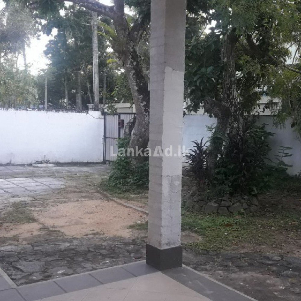 House for Rent in Galle, Galle