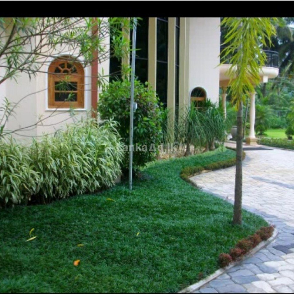 Landscaping and garden services, Badulla
