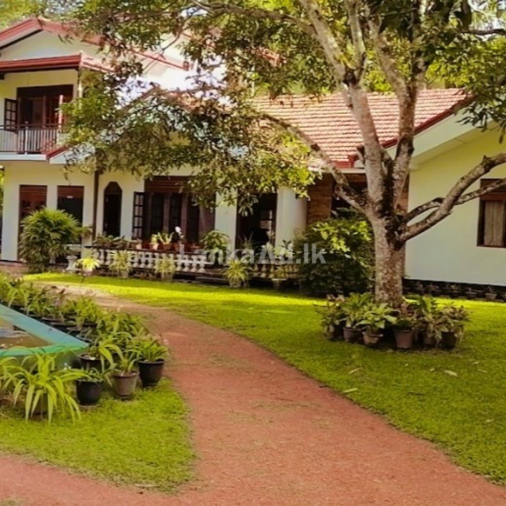 House for Rent in Matara, Matara