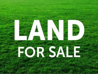 Land and house sale in Mudduwil