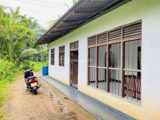 House & Building For Sale