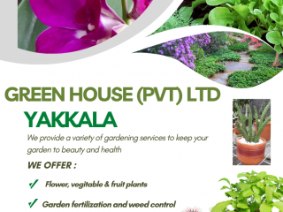 Plant Nursery Gampaha
