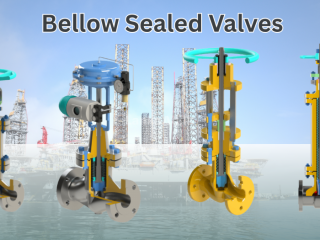 Bellows Seal Valve - Zero Leakage, High Performance
