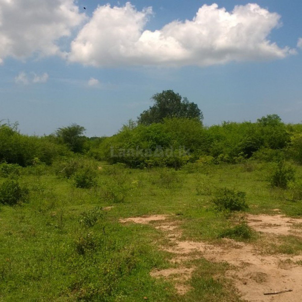 15 acres lake front land, Hambantota